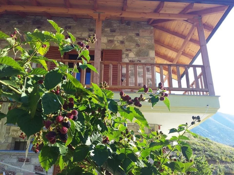 A Pousada Bujtina Hader Xhebro Tepelene Exterior foto